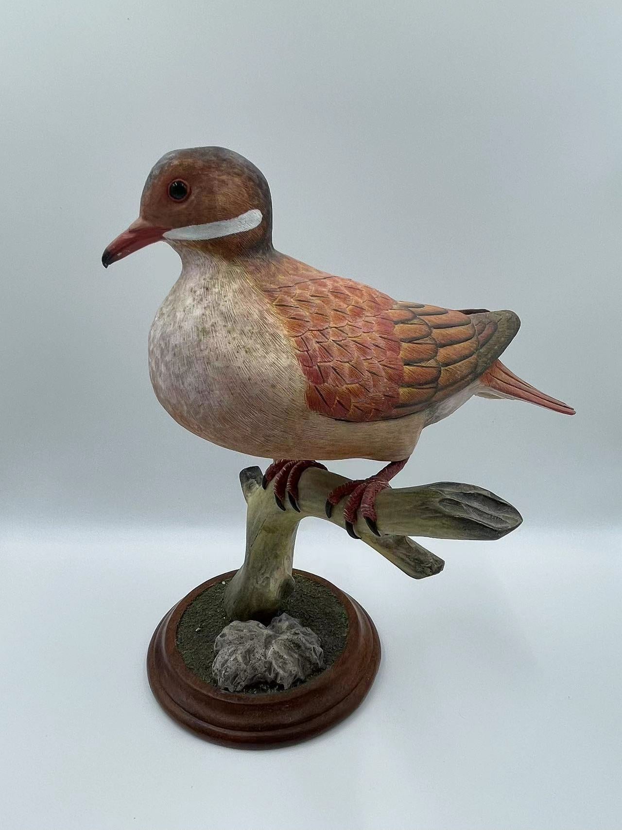 Key West Quail-Dove Life Sized 9" Wood Carving