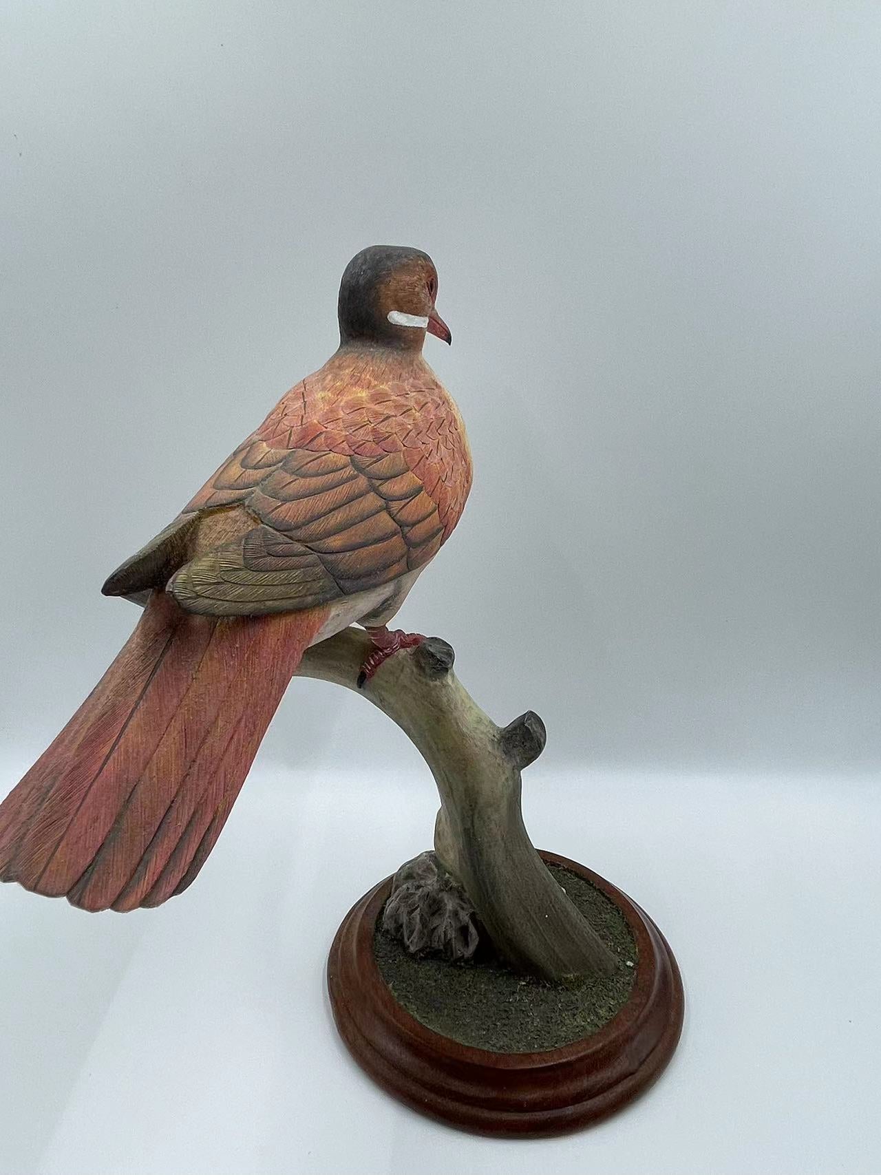 Key West Quail-Dove Life Sized 9" Wood Carving