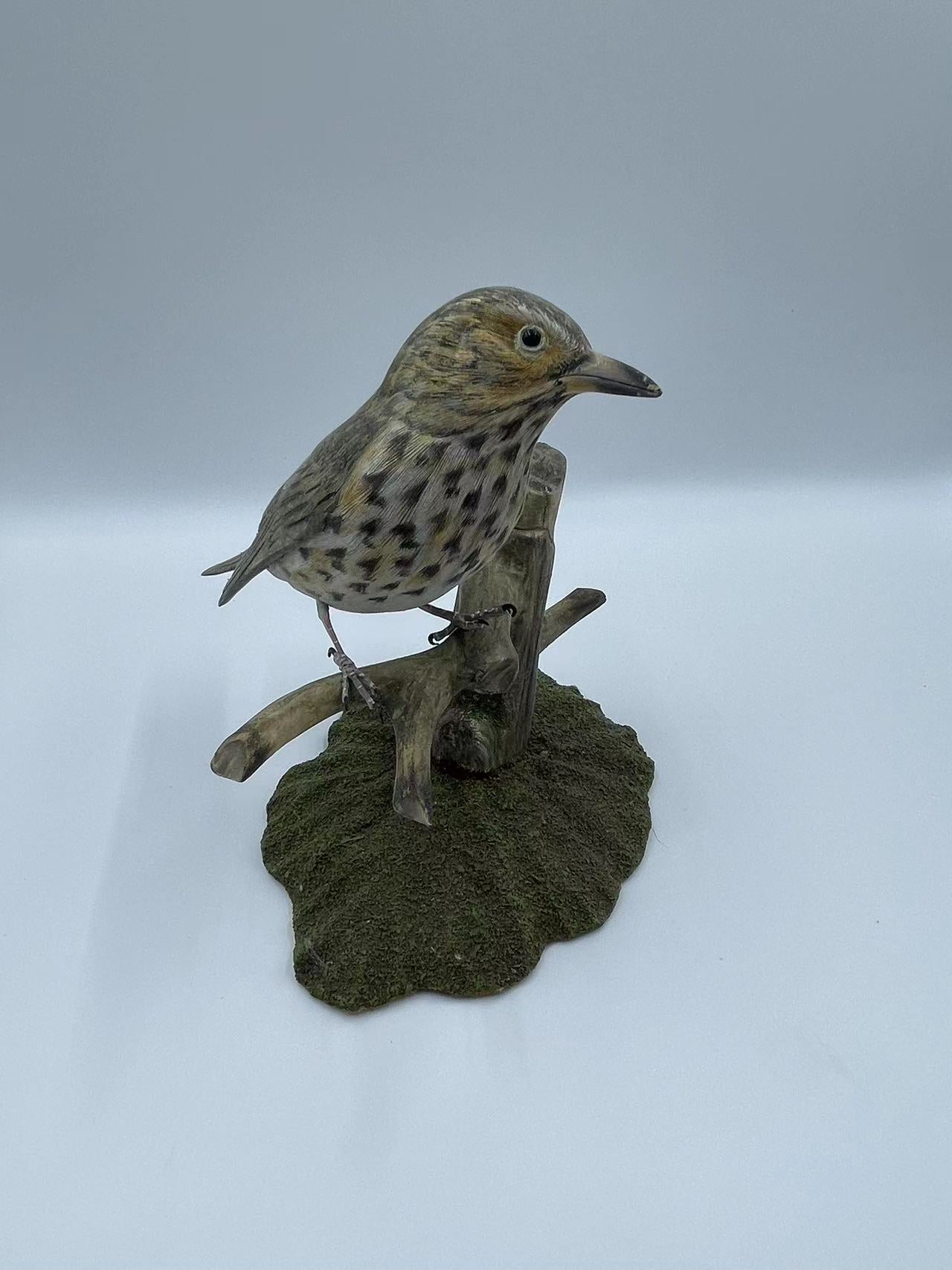 Song Thrush Life Sized 5 1/2" Wood Carving