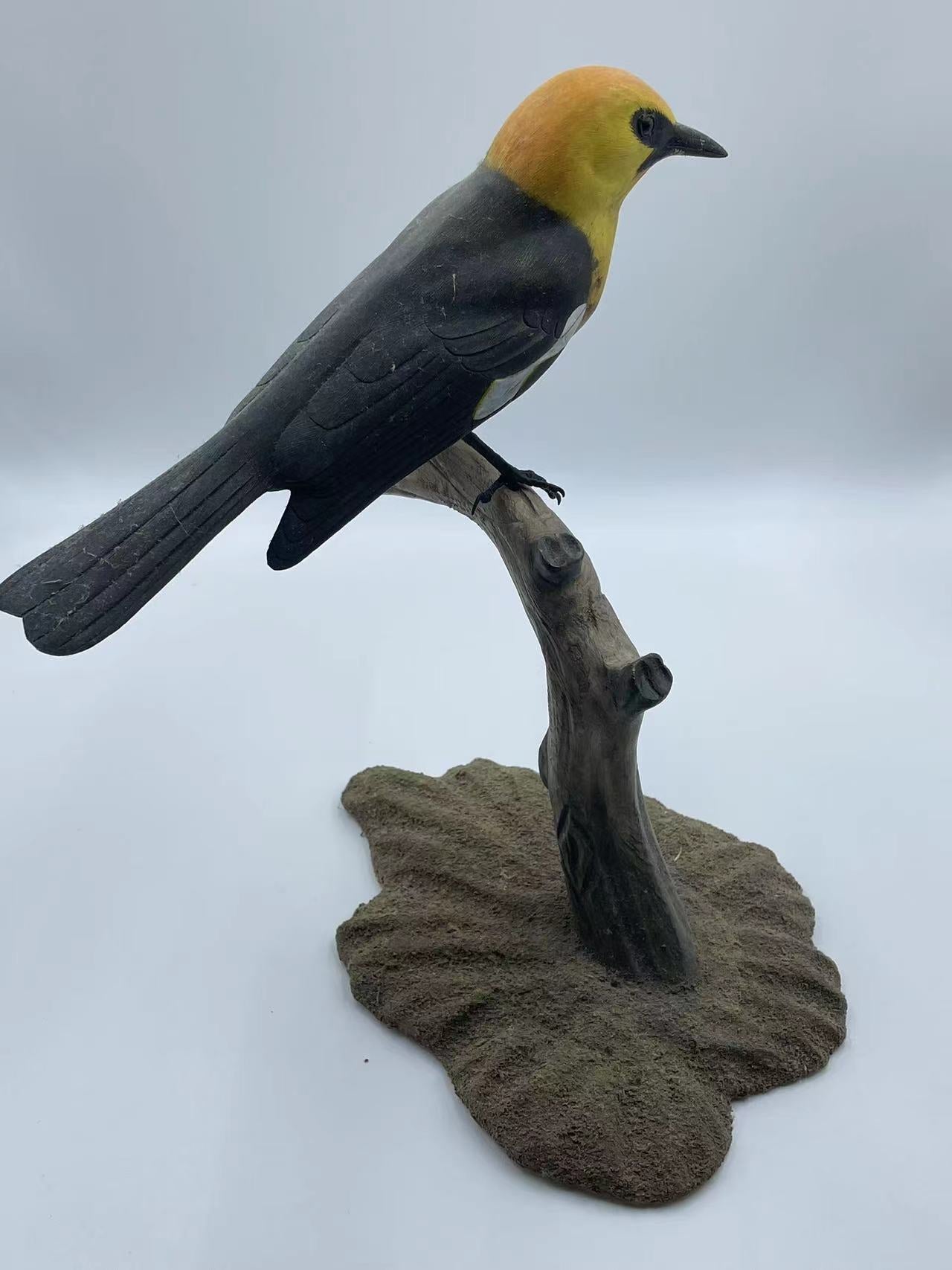 Yellow Headed Blackbird Life Sized 9 1/2" Wood Carving