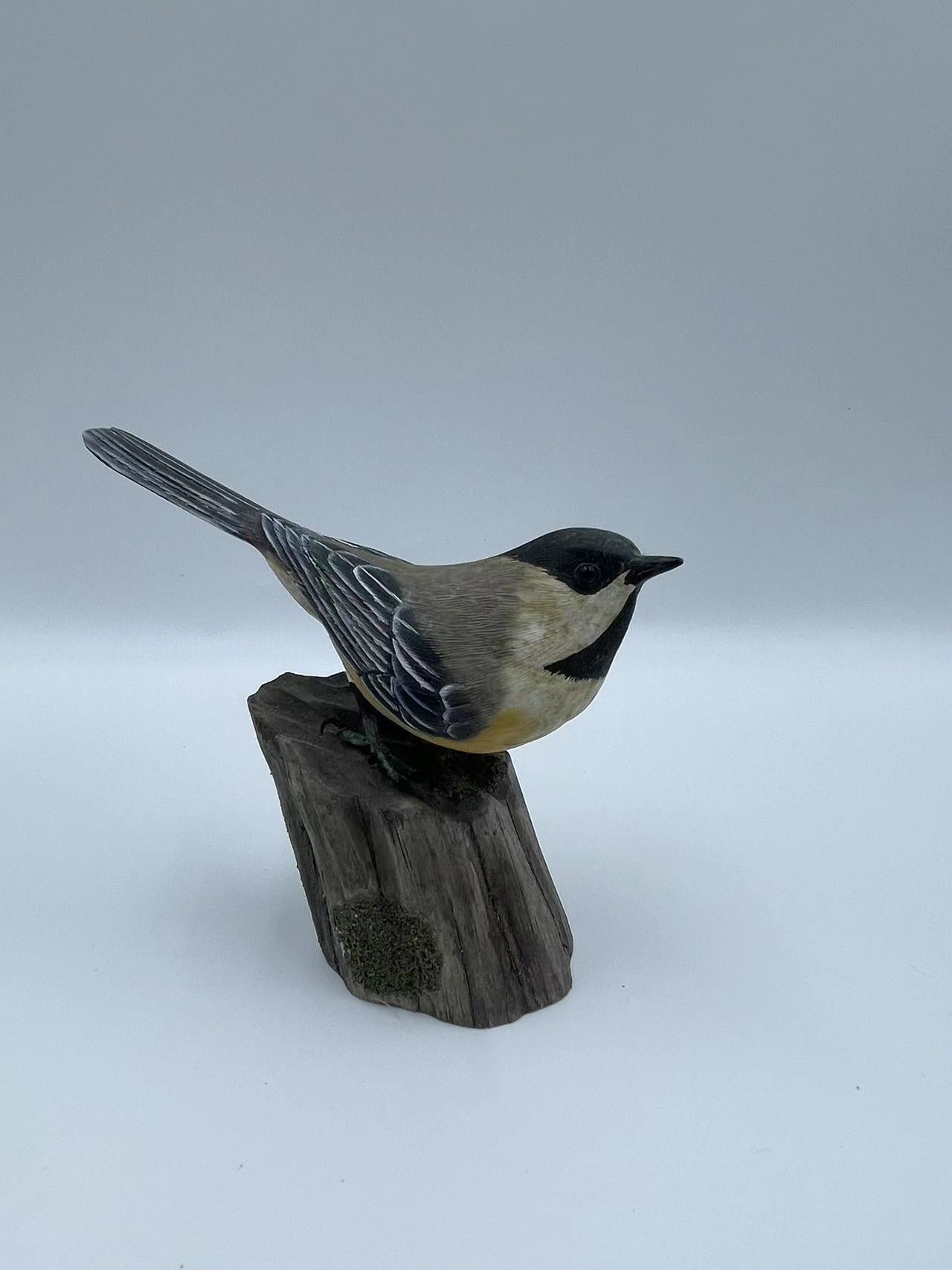 Blacked Capped Chickadee Wood Carving