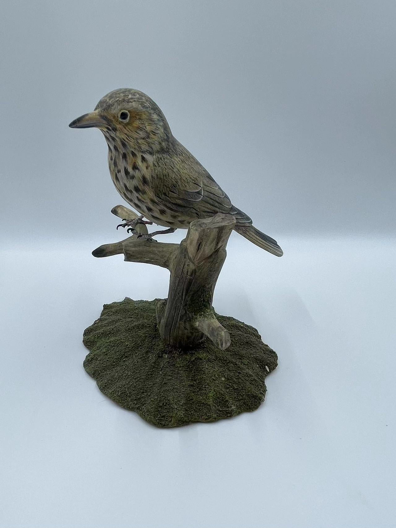Song Thrush Life Sized 5 1/2" Wood Carving