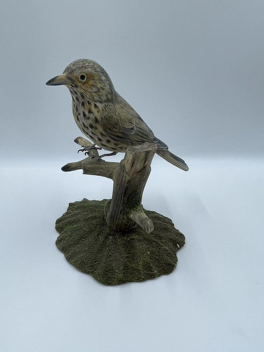 Song Thrush Life Sized 5 1/2" Wood Carving